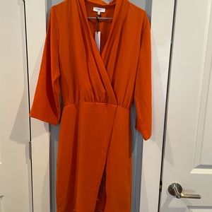 Anthropologie mini dress with lace detail